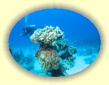 IMG_2007_05_27 15_17_03 * 2234 x 1674 * (465KB)